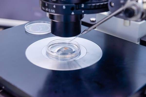 laboratoire de reproduction assistée