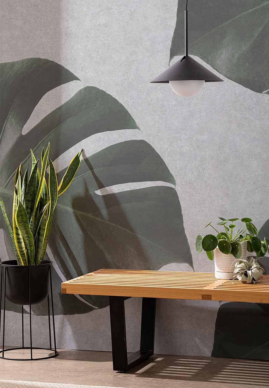 tout ce que vous devez savoir sur le design biophilique 