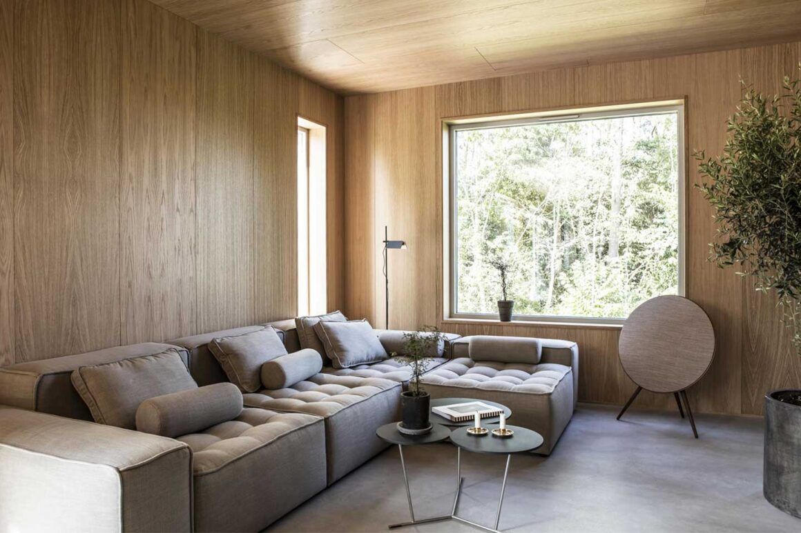 salon contemporain maison scandinave