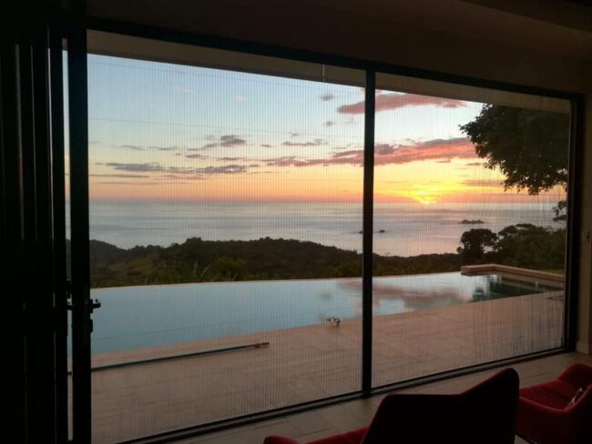 le meilleur allié contre les moustiques