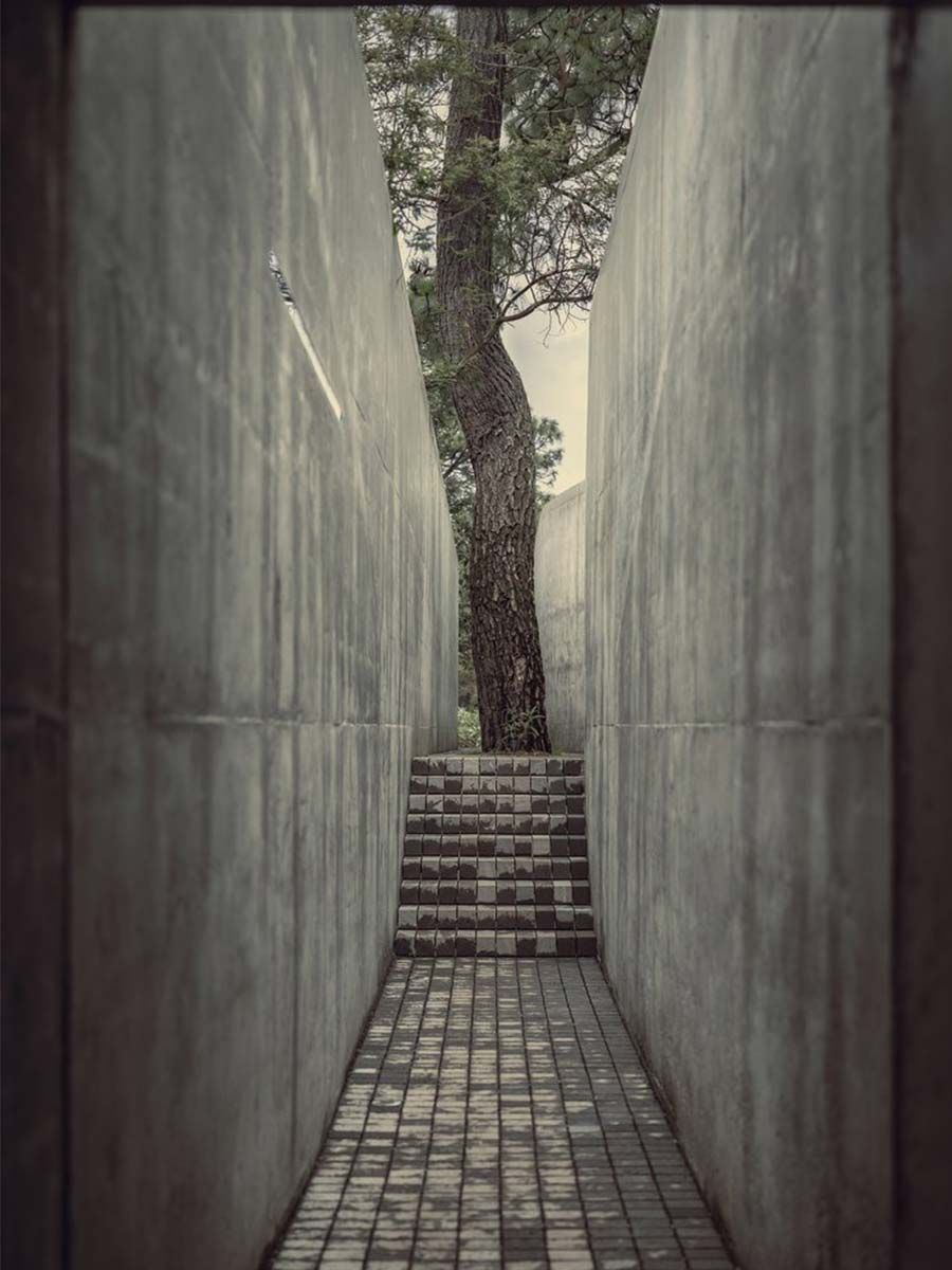 entrée de la maison en béton par HW Studio Arquitectos