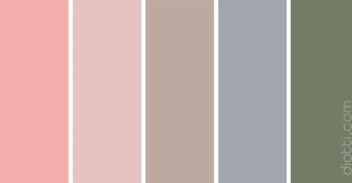 Palette rose pâle, rose bonbon, gris tourterelle, vert olive par diotti.com