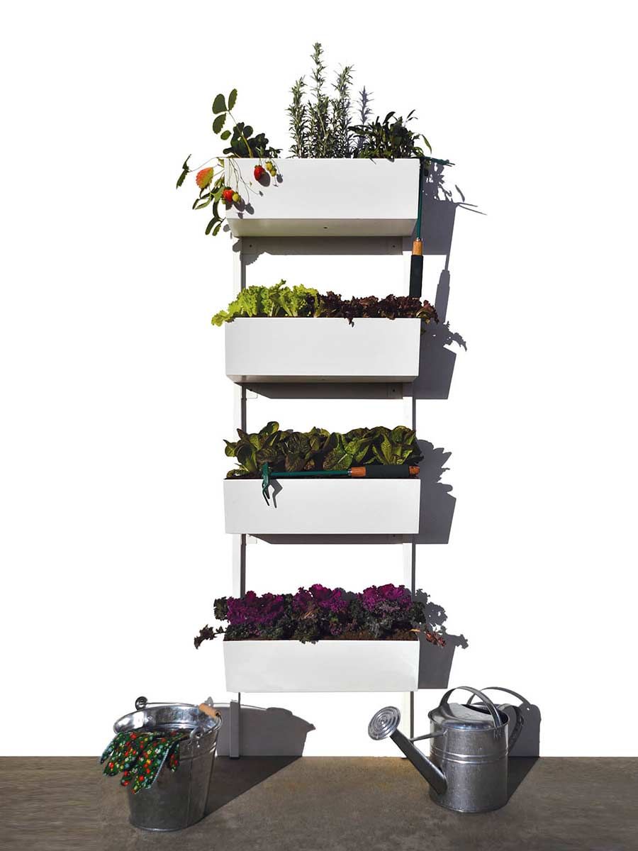 Conseils pour réussir à cultiver des plantes aromatiques dans un petit espace