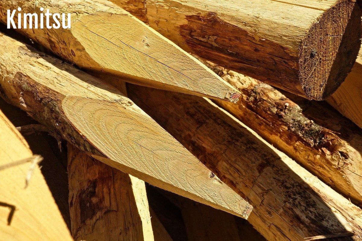 Bois brut : matière idéale pour créer de superbes décors saisonniers naturels.