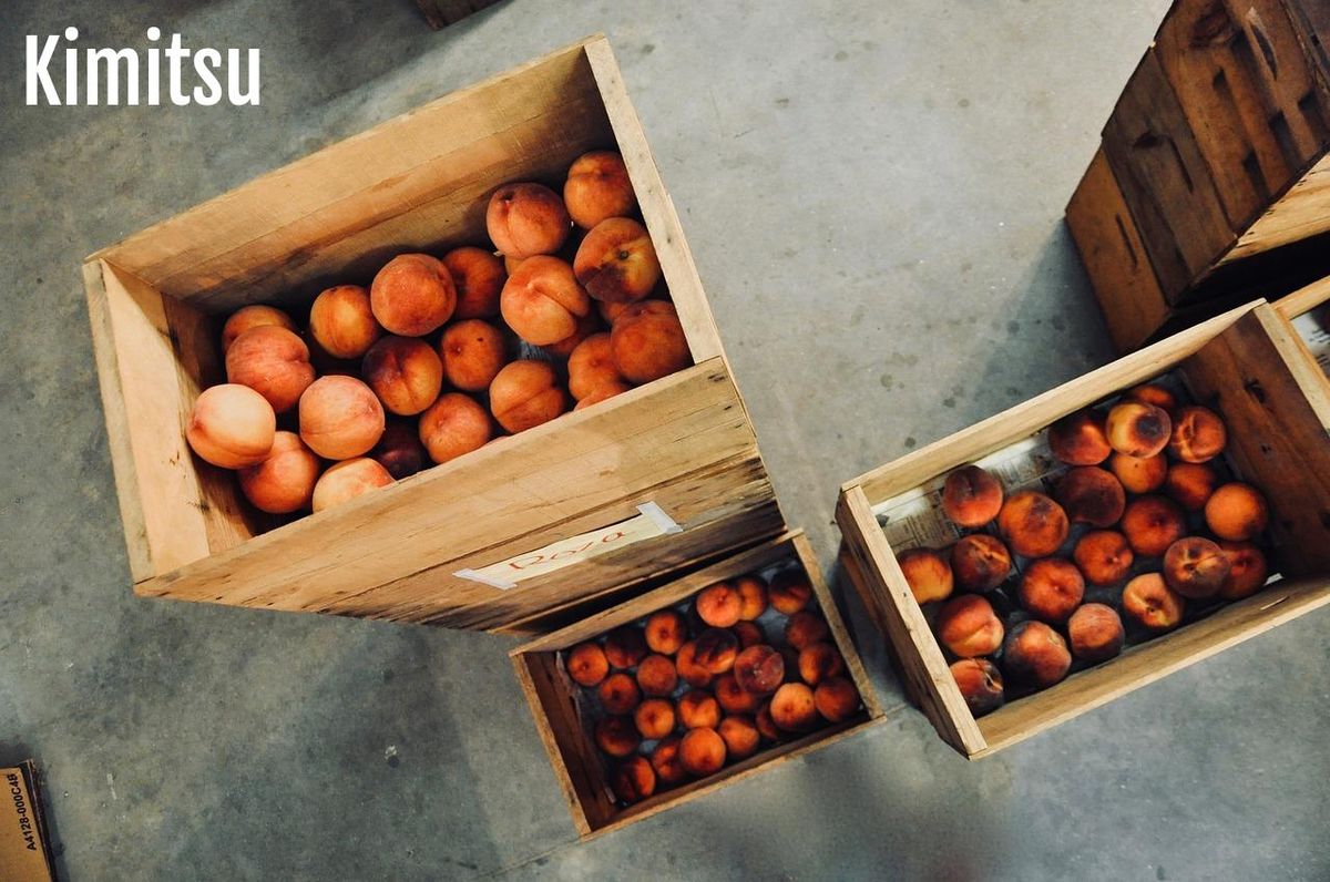 Boîtes de pêches bien rangées pour planifier vos repas équilibrés à l'avance.