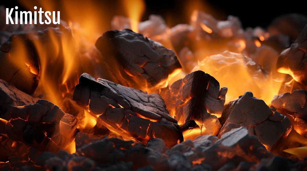 Braises incandescentes : l’essence du binchotan pour des yakitori savoureux et authentiques.