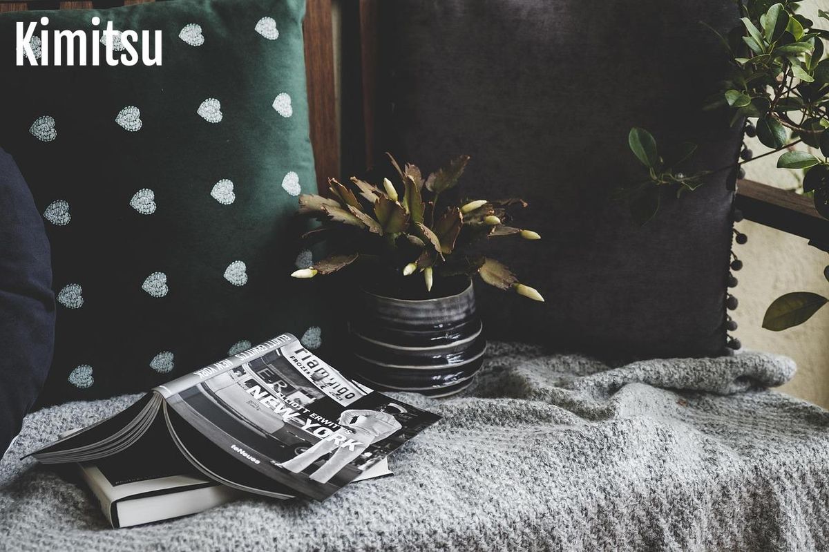 Coin lecture intime : coussins douillets, jeté moelleux et plante verte pour un style scandinave.