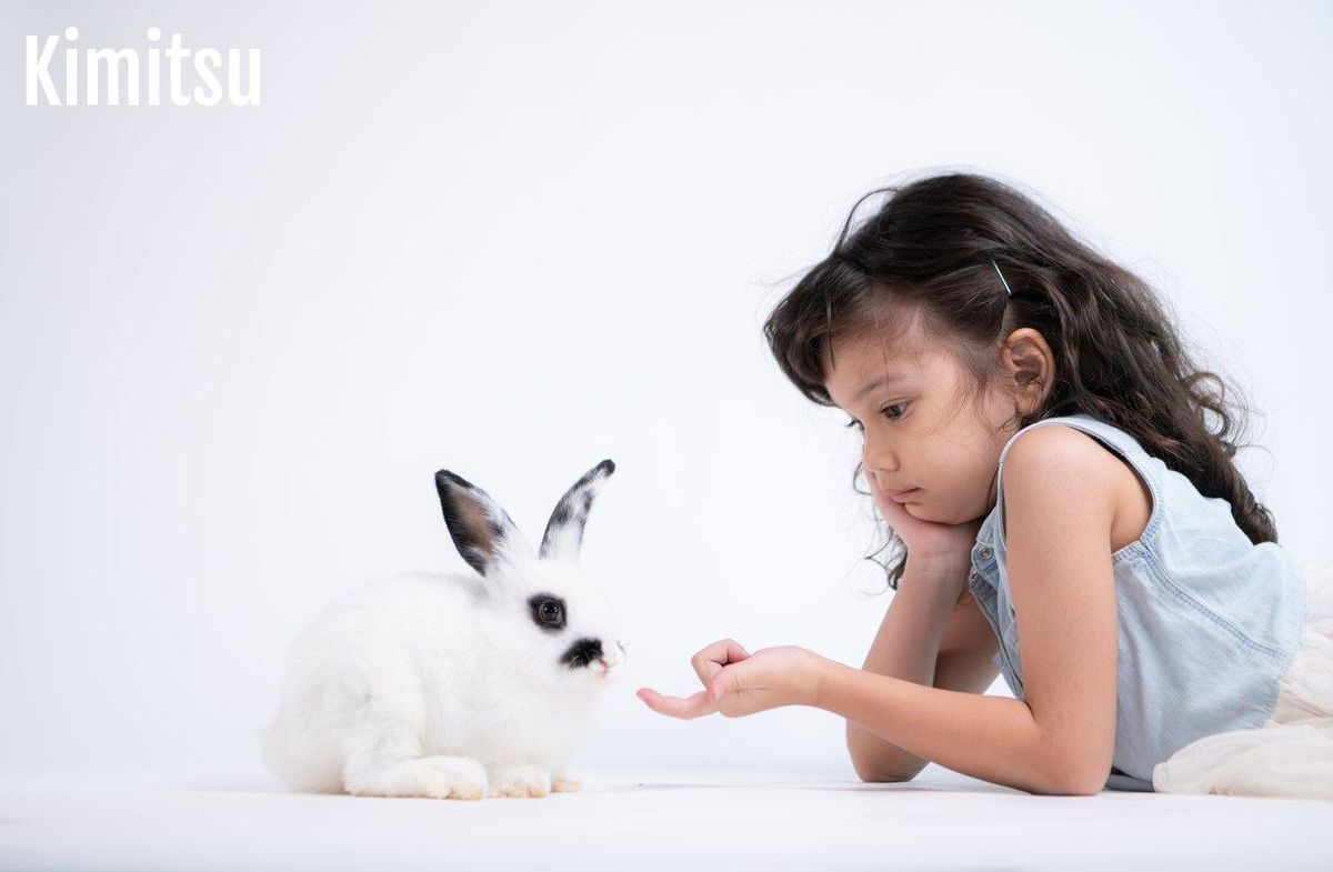 En symbiose avec la faune, la sérénité se partage entre une enfant et un lapin.