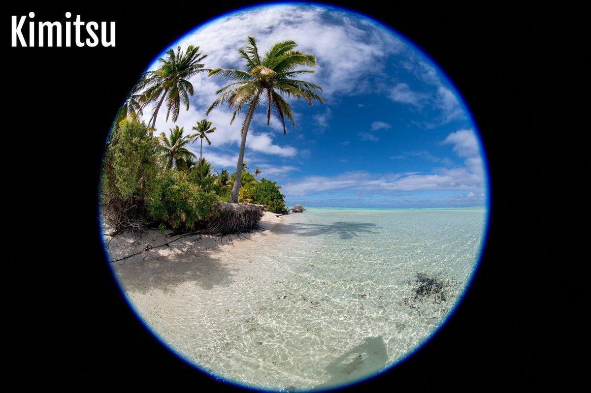 Évasion paradisiaque et durable sur une île pionnière du Pacifique.
