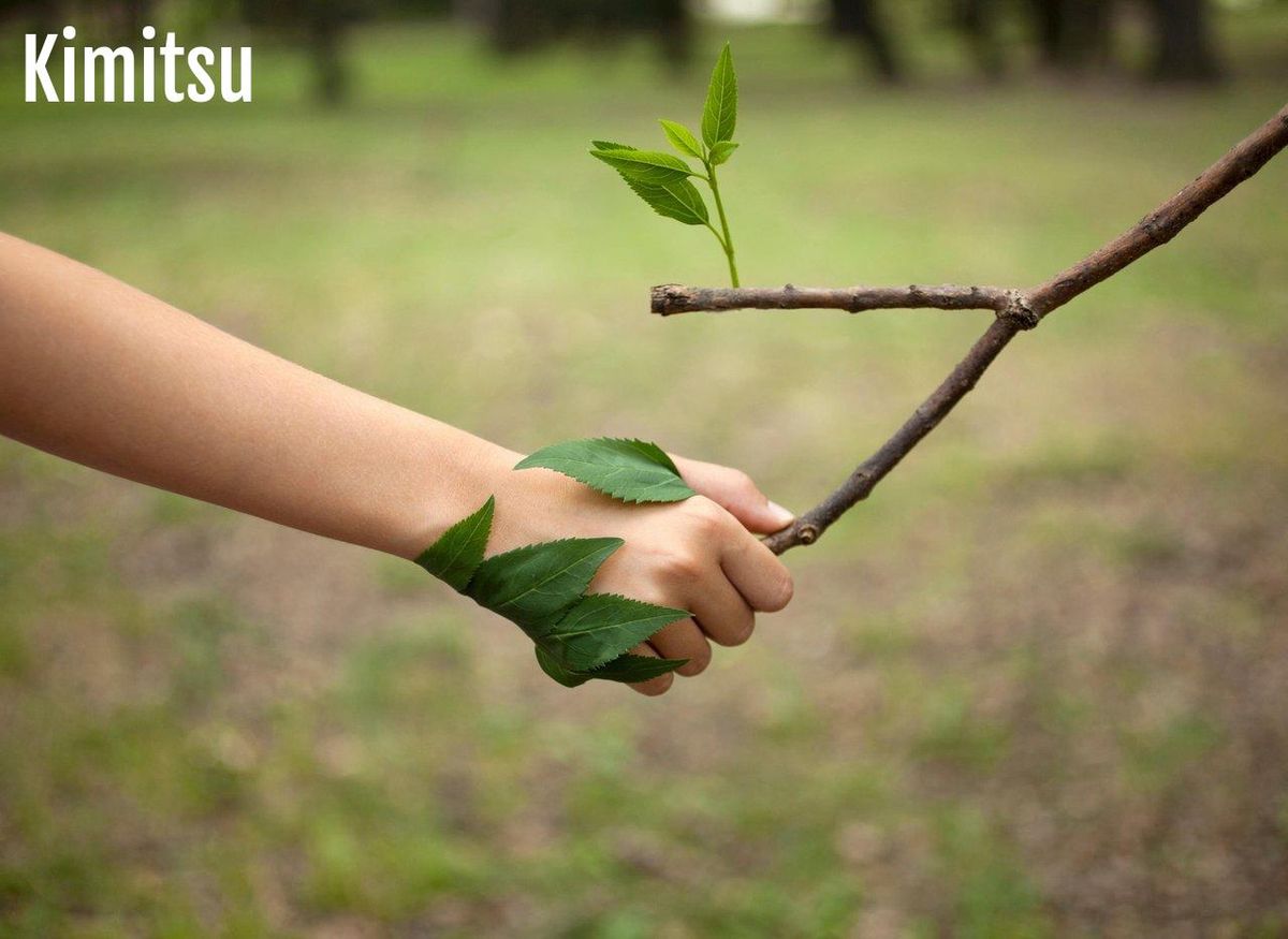 Main dans la main avec la nature : éthique et authenticité en photographie sauvage.