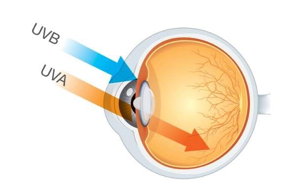 dommages aux yeux rayons uvb