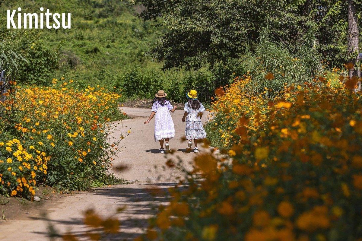 Randonner entre les fleurs inspire l'imagination des enfants, renforçant créativité et joie.
