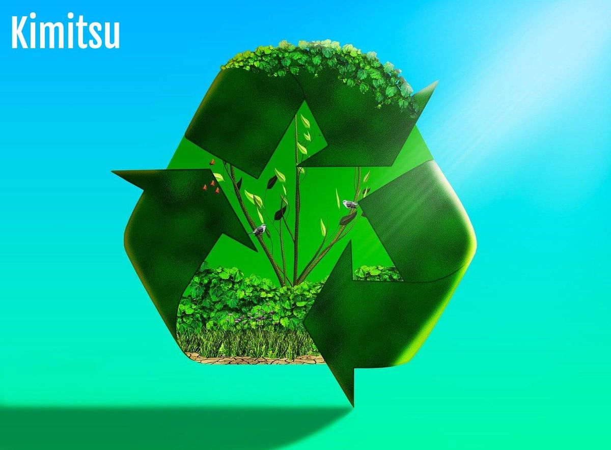 Recyclez pour reverdir: choisissez des matériaux durables pour vos jardinières.