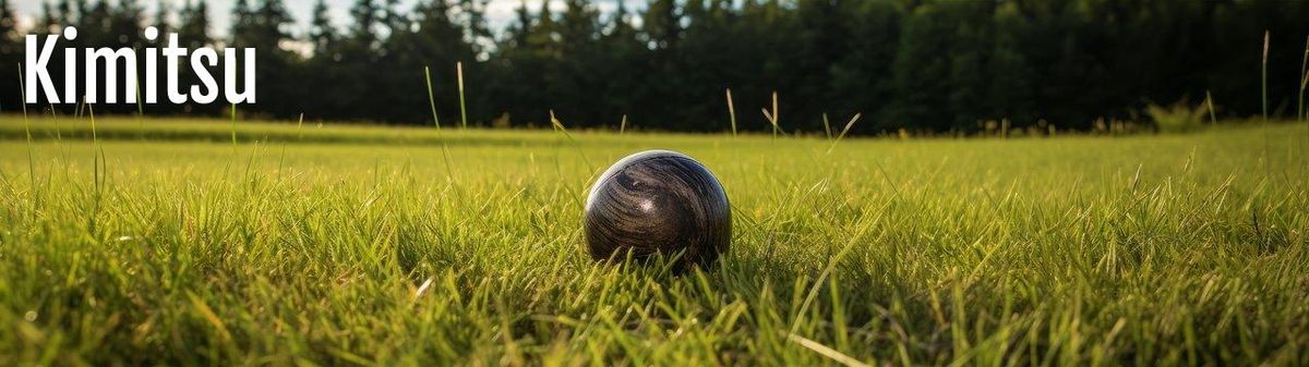 Une boule posée dans l'herbe, prête pour le retour historique au parc Borély.