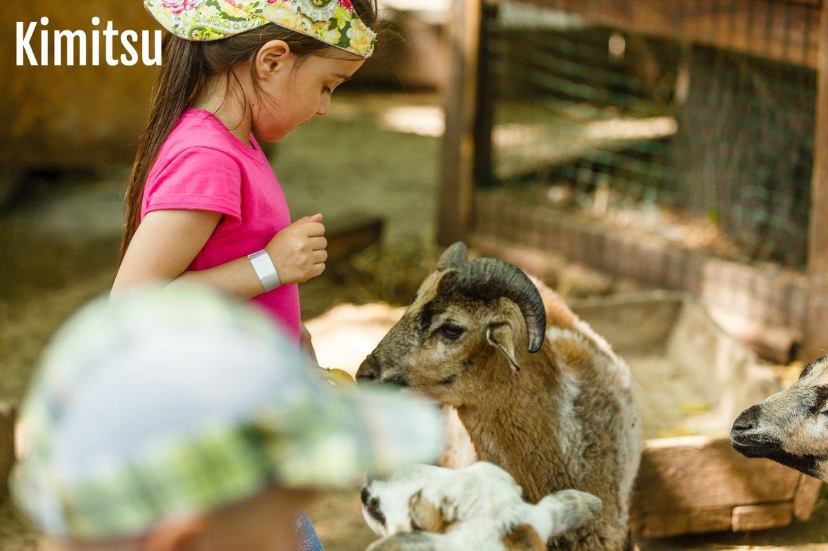 Une famille au zoo de Beauval avec des enfants souriants devant un enclos animalier, profitez d'une journée inoubliable.