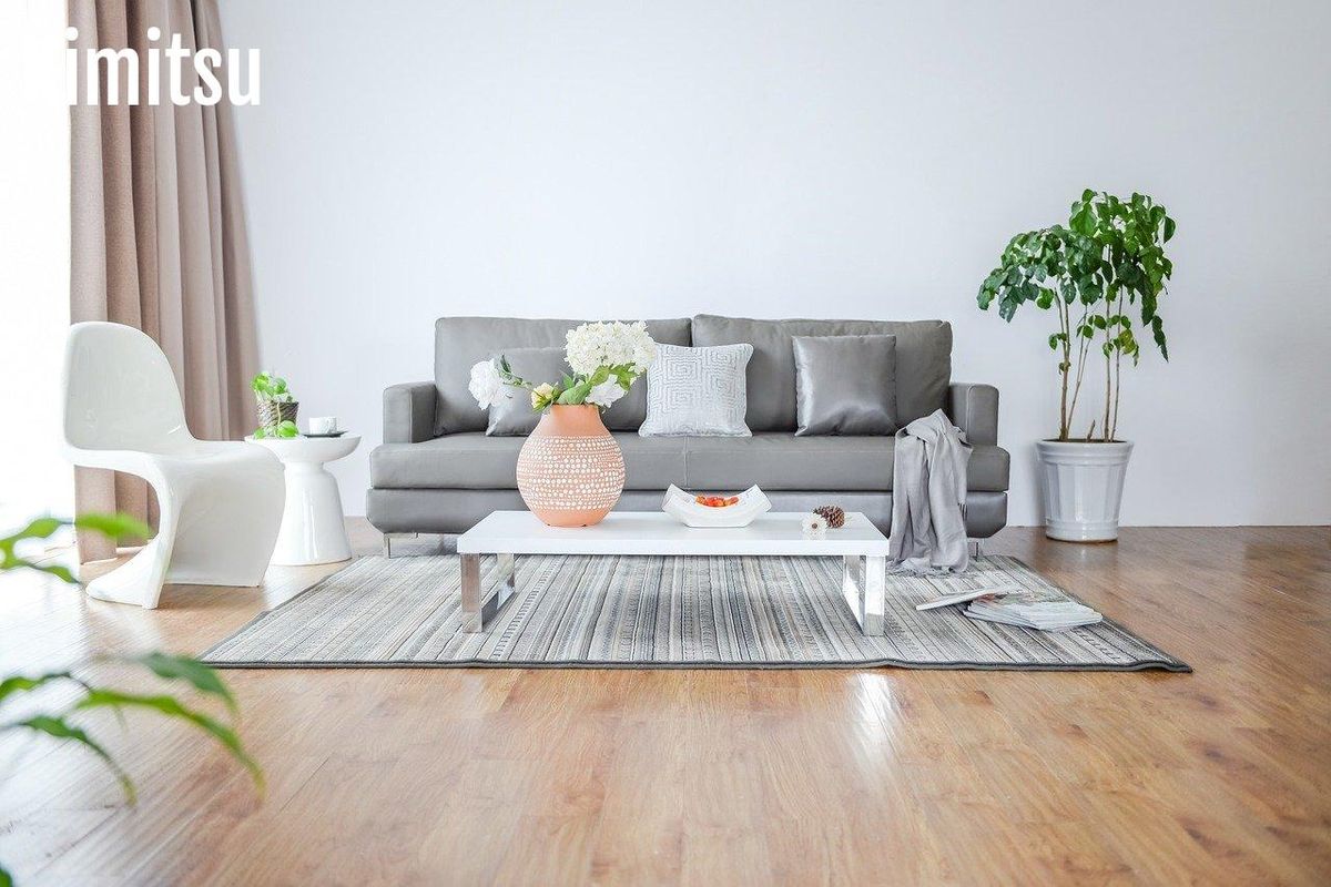 Végétaux et déco neutre pour apaiser votre espace intérieur.