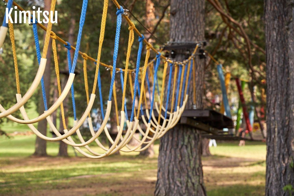 Vue aérienne du parc aventure forêt avec parcours accrobranche, idéal pour une sortie familiale en nature.