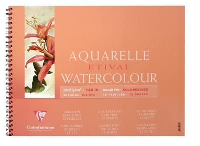 Album Spiralé Etival Grain Fin 18x24cm 12 feuilles 300g