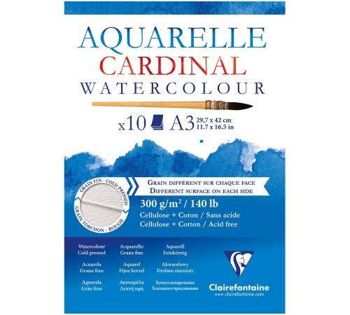 Bloc Papier Aquarelle Cardinal 300 g - 29,7 x 42 cm - 10 feuilles