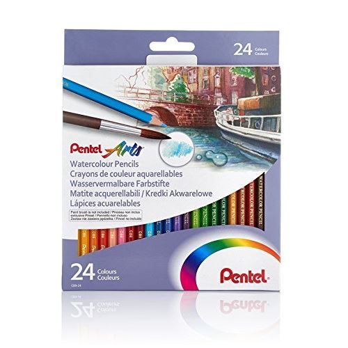 Boite de 24 crayons de couleur aquarellables Pentel Arts
