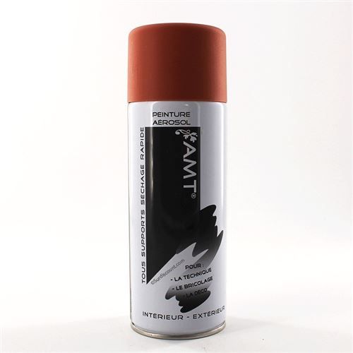 Bombe de peinture blush mat 330ml - Amt