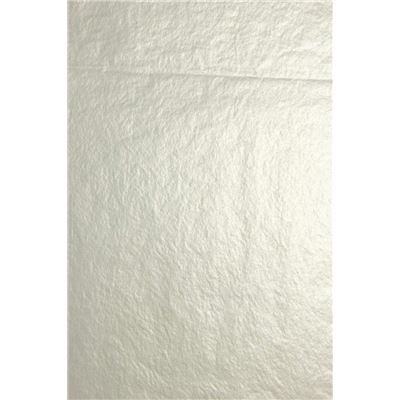 Clairefontaine 95476C Sachet de papier de soie 8 feuilles 0,75x0,50m Argent