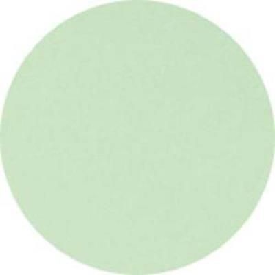 Lot de 5 Ramettes de 500 feuilles papier couleur TROPHEE 80 grammes format A4 vert golf