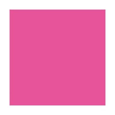 Ramette de 500 feuilles papier couleur TROPHEE 80 grammes format A3 rose fuchsia
