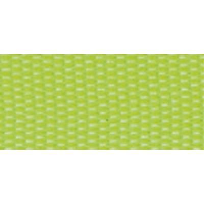 Ruban Taffetas - Vert mai - 25 mm - Au mètre - Rayher