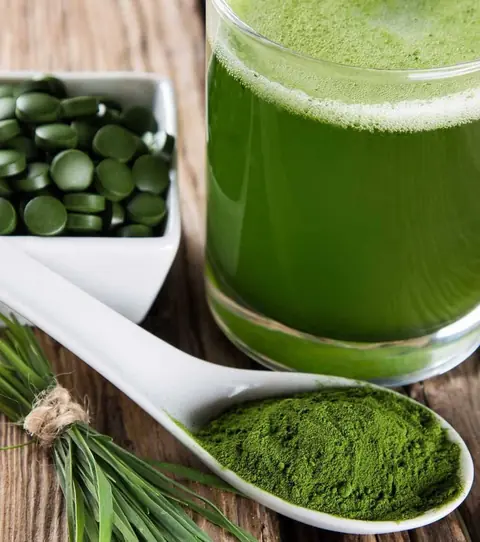 4 aliments riches en protéines végétales