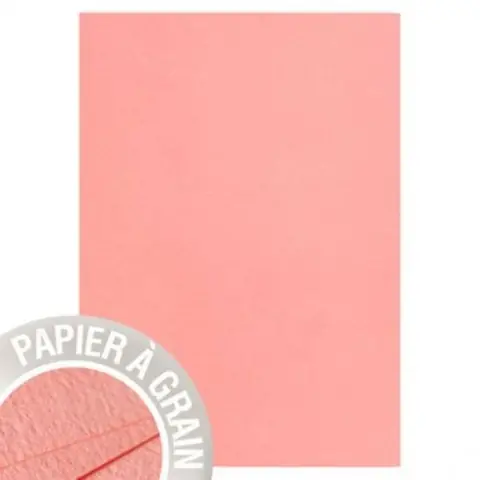 50 Feuilles A4 Pollen coloris Poudre de Corail