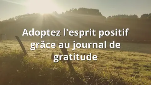 Adoptez l'esprit positif grâce au journal de gratitude