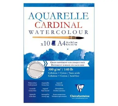 Bloc Papier Aquarelle Cardinal 300 g - 21 x 29,7 cm - 10 feuilles