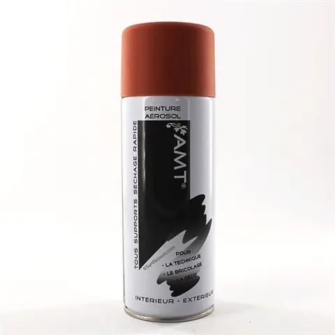 Bombe de peinture blush mat 330ml - Amt