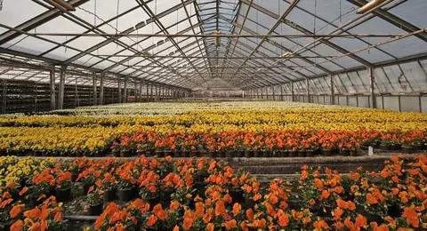 Chauffage pour serres - Furniture Matters