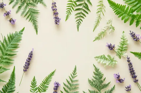 5 plantes adaptogènes pour mieux gérer stress et fatigue en 2026