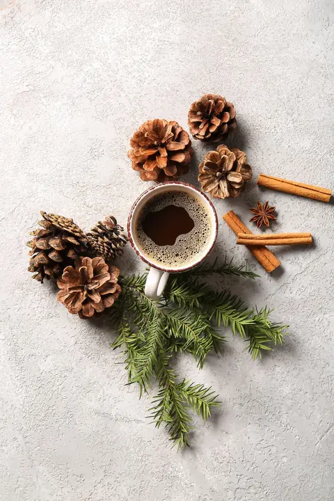 Huiles essentielles d’hiver : lesquelles choisir pour l’immunité et le bien-être familial ?