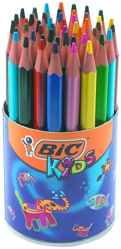 Crayon de couleur Bic Evolution Triangle - Pot scolaire de 48 Crayons de couleur assortis