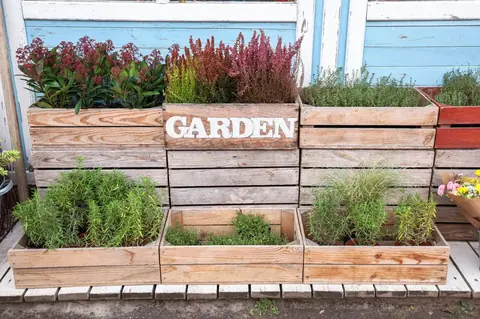 Jardinière aromatique verticale DIY : gagner de la place en appartement