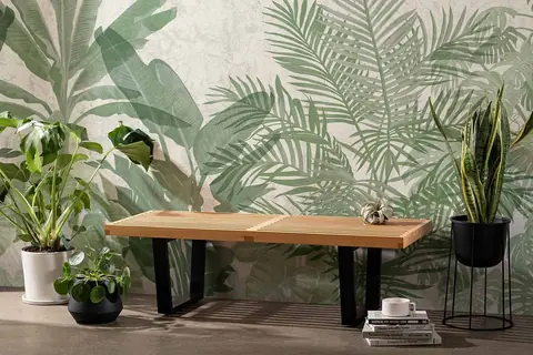 Le design biophilique pour améliorer l'humeur et la qualité de vie