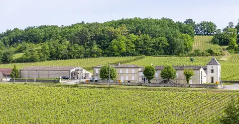 Les meilleurs métiers dans le secteur du vin