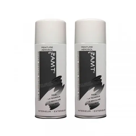 Lot de 2 bombes de peinture - ficelle - AMT