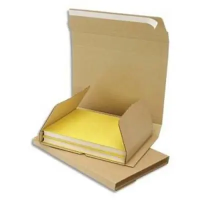 Lot de 25 Etuis postal en carton brun, fermeture adhésive Standard - Dimensions : L24 x H1 x P18 cm