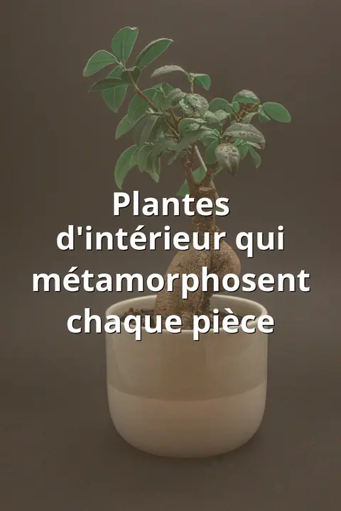Plantes d'intérieur qui métamorphosent chaque pièce