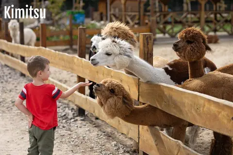 Prix d’une journée au Zoo de Beauval pour une famille en 2026