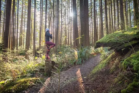 quels sont les avantages d'un "bain de forêt" ?