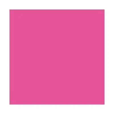 Ramette de 500 feuilles papier couleur TROPHEE 80 grammes format A3 rose fuchsia
