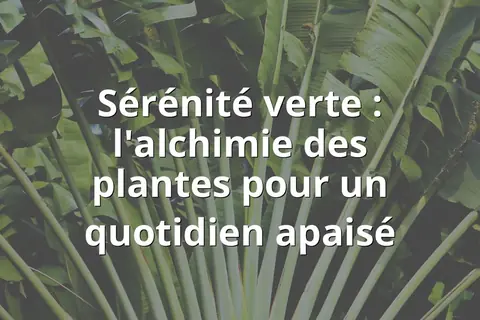 Sérénité verte : l'alchimie des plantes pour un quotidien apaisé