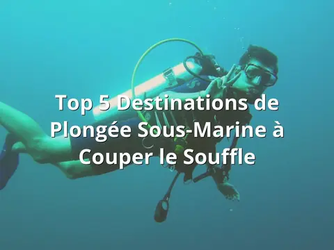 Top 5 Destinations de Plongée Sous-Marine à Couper le Souffle