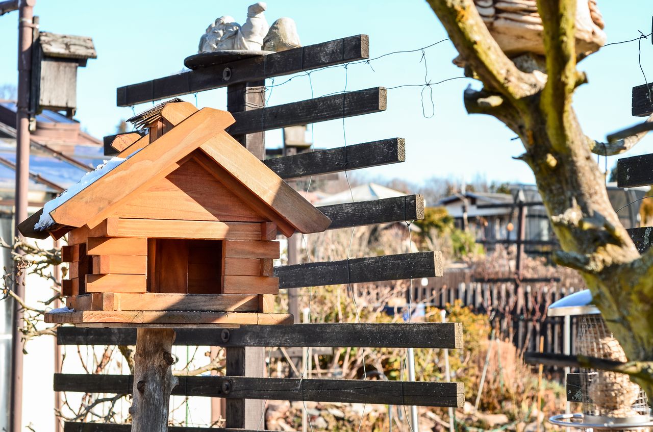 Atelier DIY écologique : fabrication d’un nichoir en bois avec matériaux de récupération en plein air.